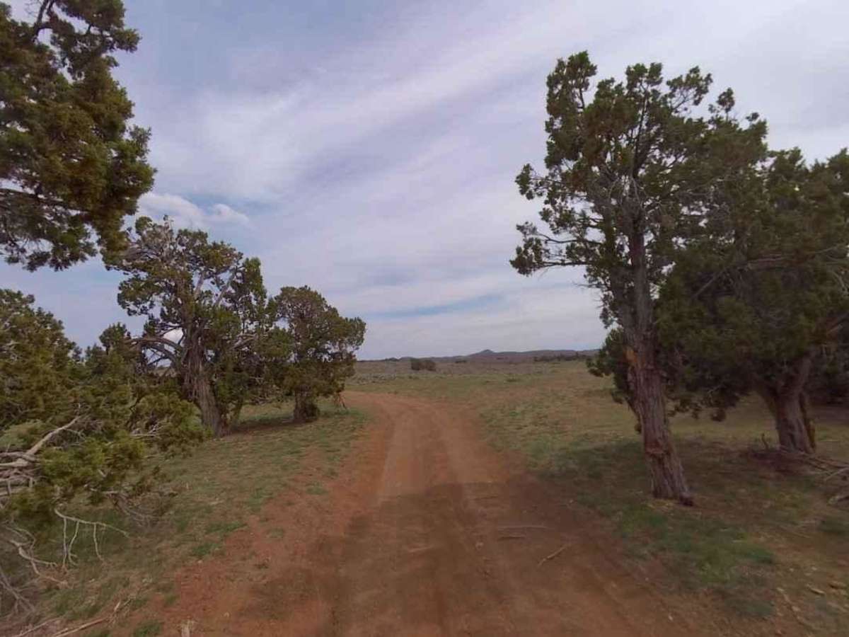 Dixie National Forest-FR31006 photo 3