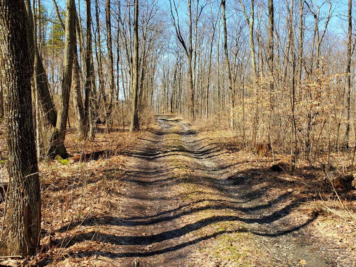 West Hill Trail photo 2