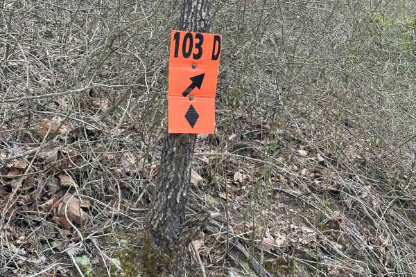 103B