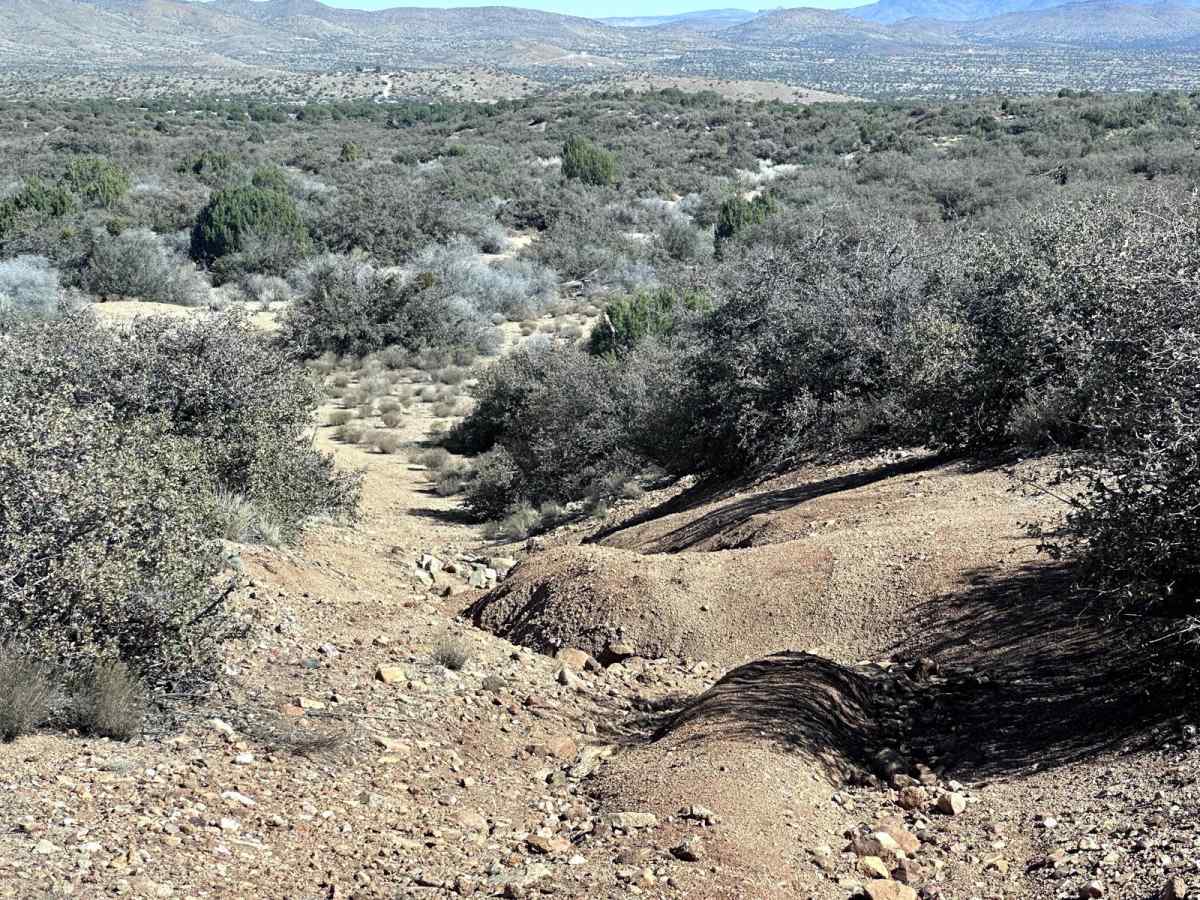 H1315 trail photo