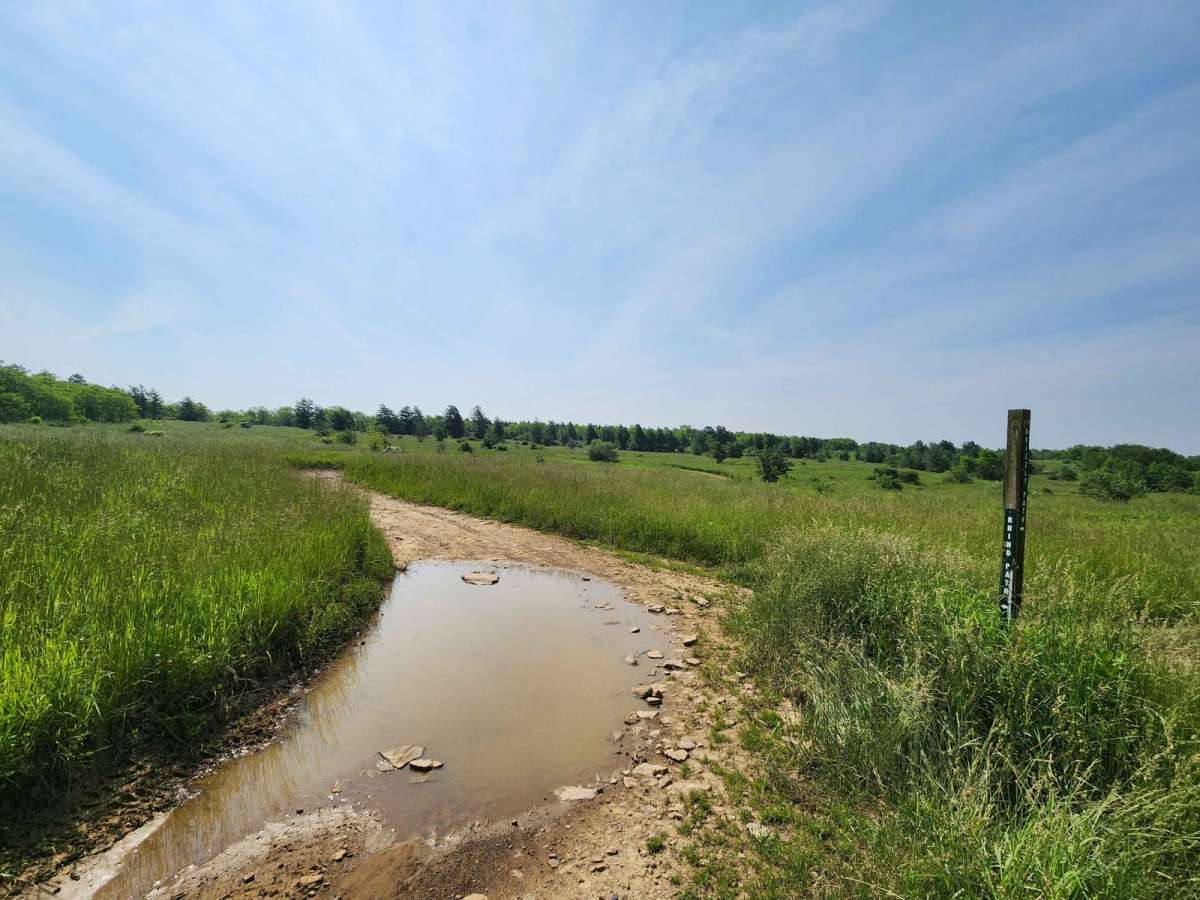 Rhino Path - Green - Rock Run Recreation Area | Off-Road Trail Maps ...