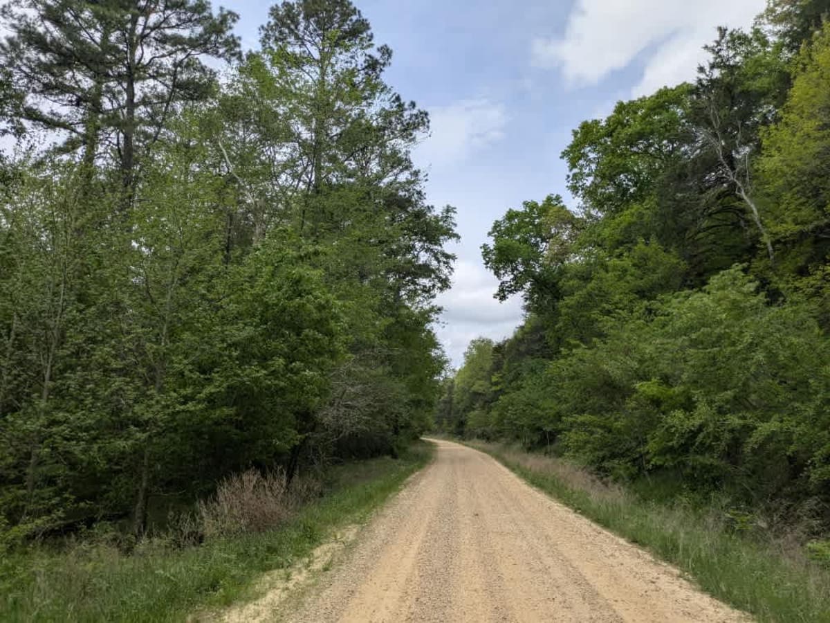 White Creek photo 4