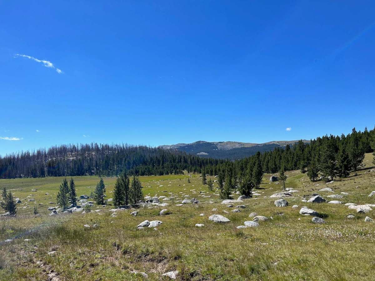 SR 271 Shell Reservoir photo 6