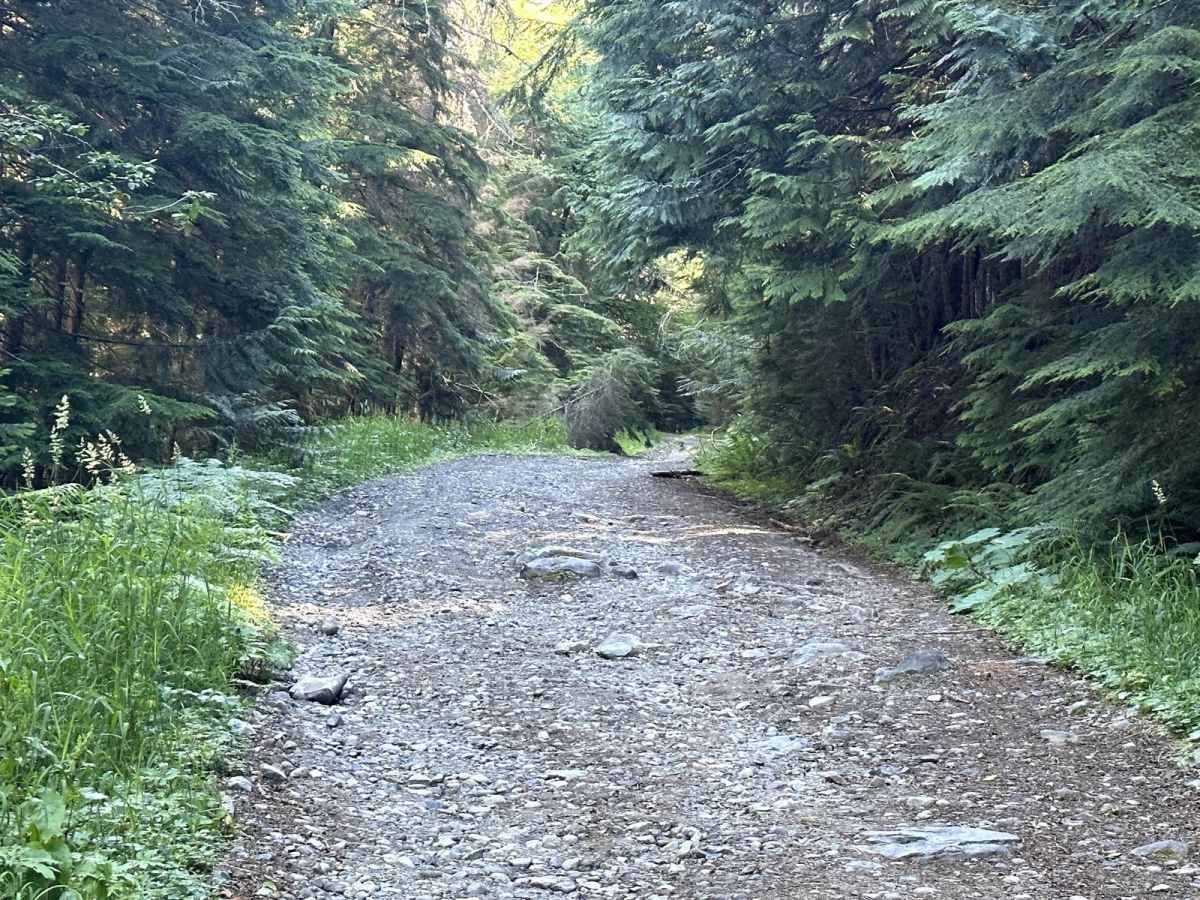 Horse Creek Trail photo 3