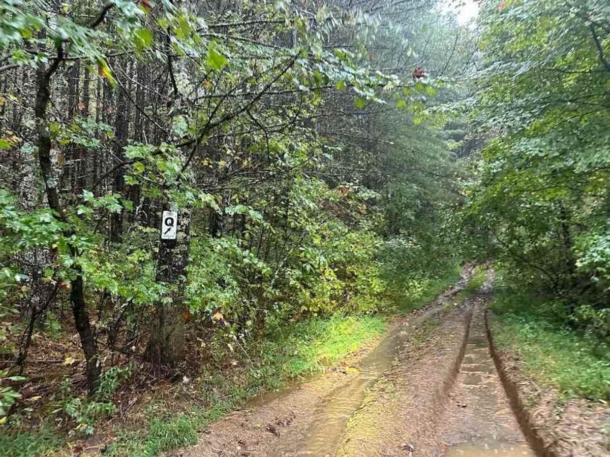 Q/28 Green photo 2