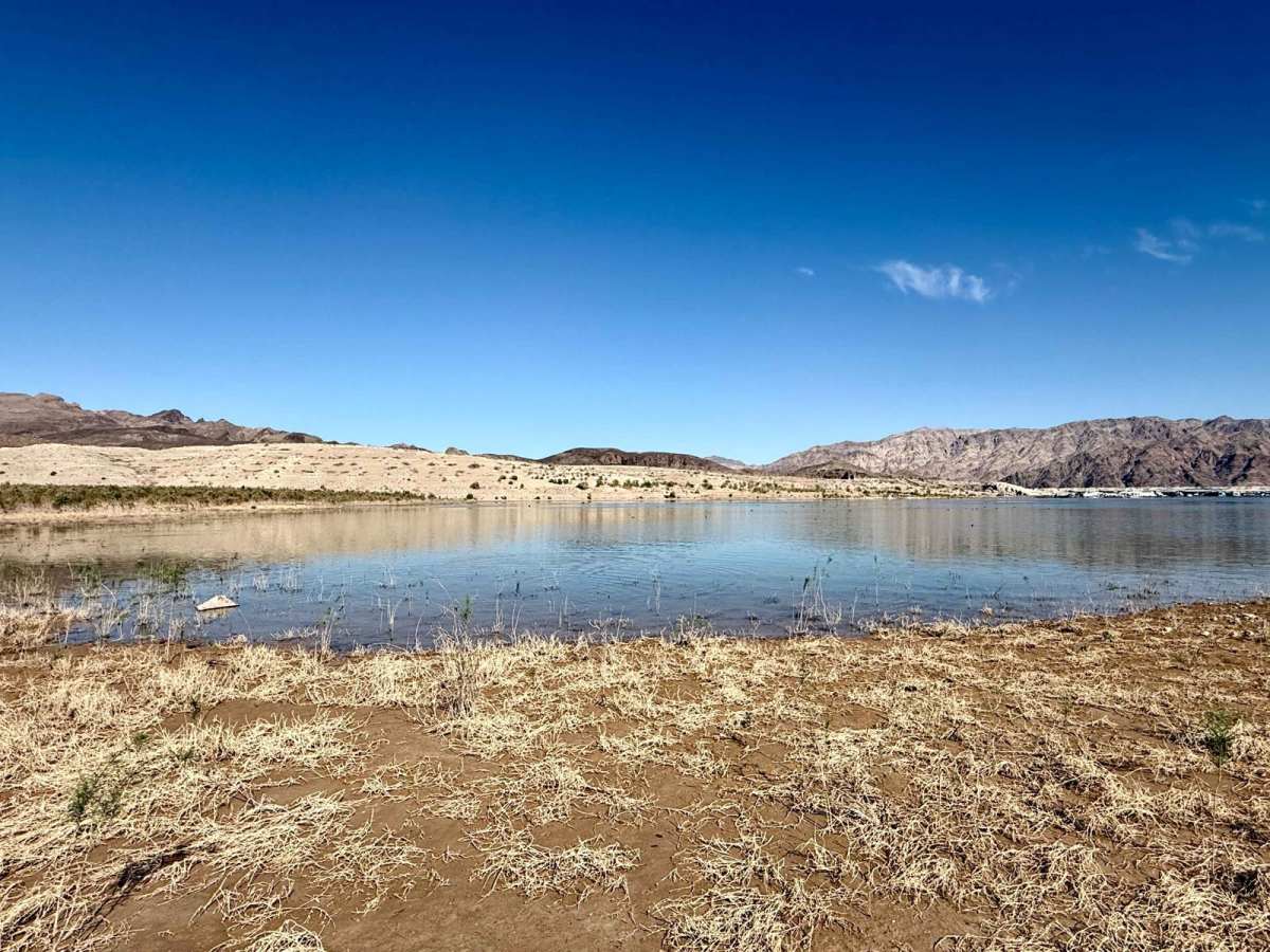 Callville Wash South 98 photo 5