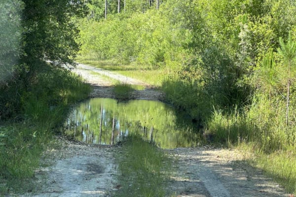 Deep Creek Loop