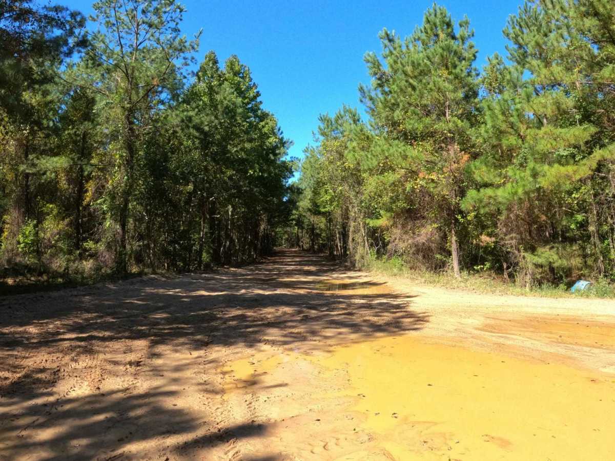 Mercy Lane trail photo
