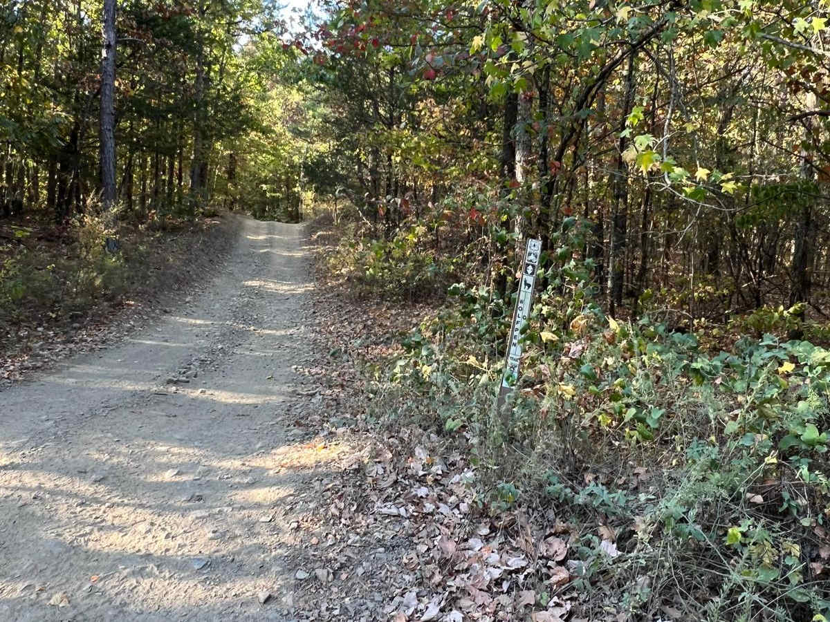 Forest Road - N09A photo 2