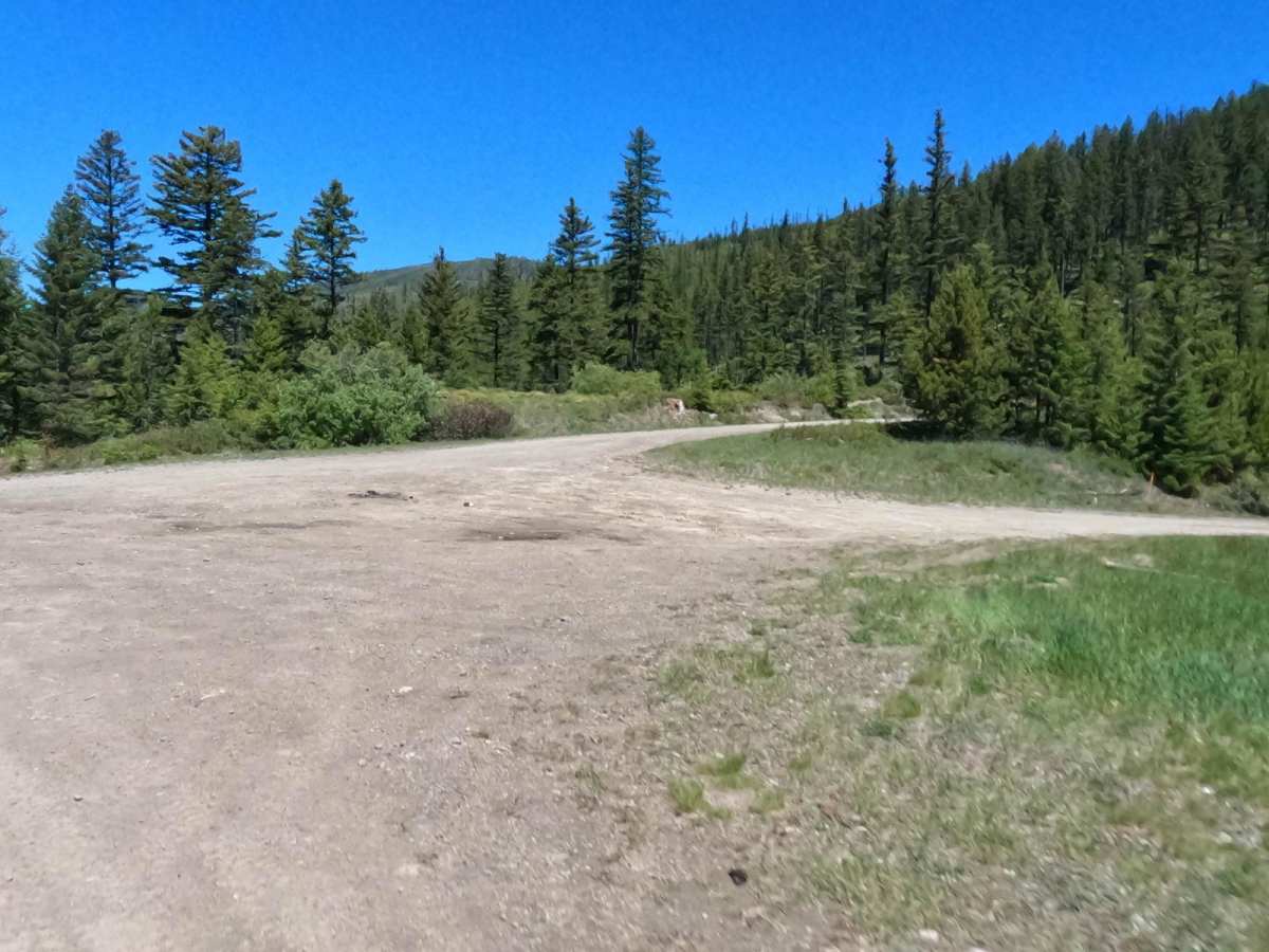 Siegel Pass-Nine Mile Rd trail photo