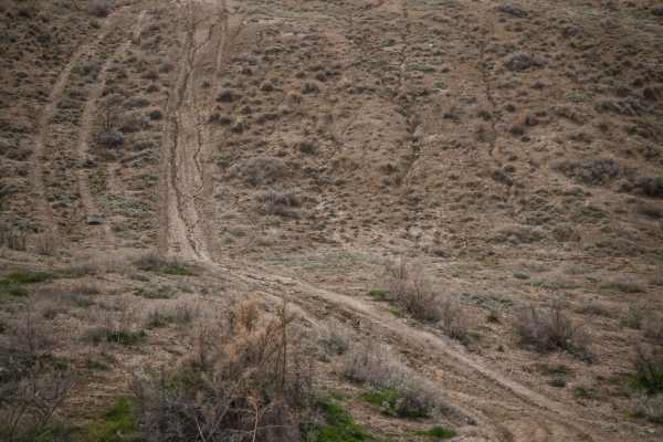Landfill Ridge