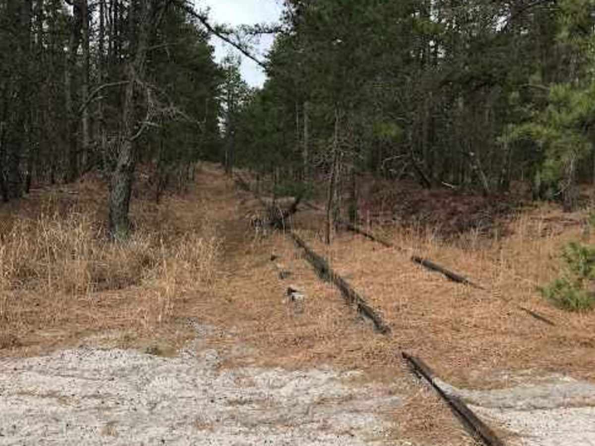 Eagle Trail photo 2