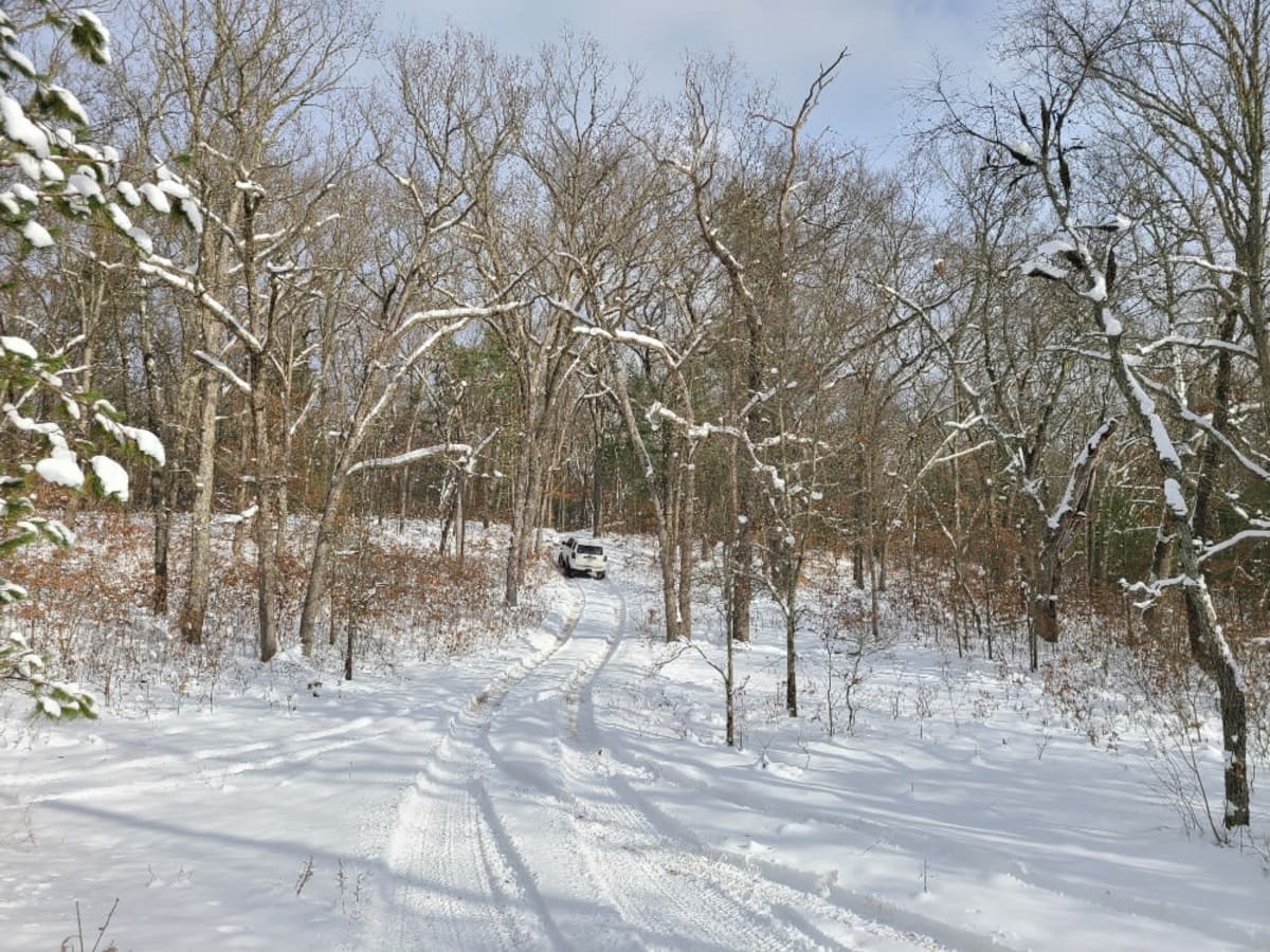 Forest Road 5300 photo 4