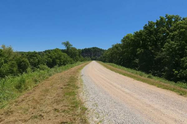 Muddy Levee Road