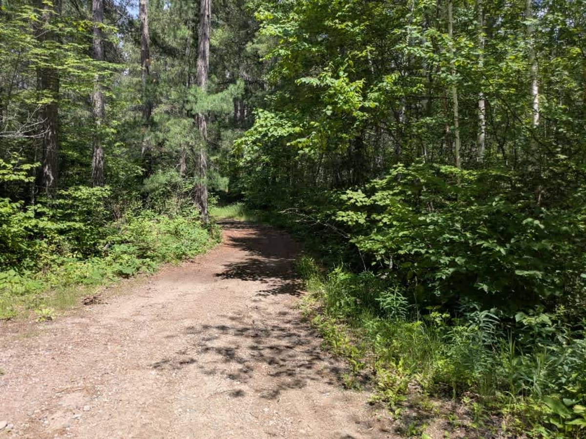 Old Angora Road photo 6