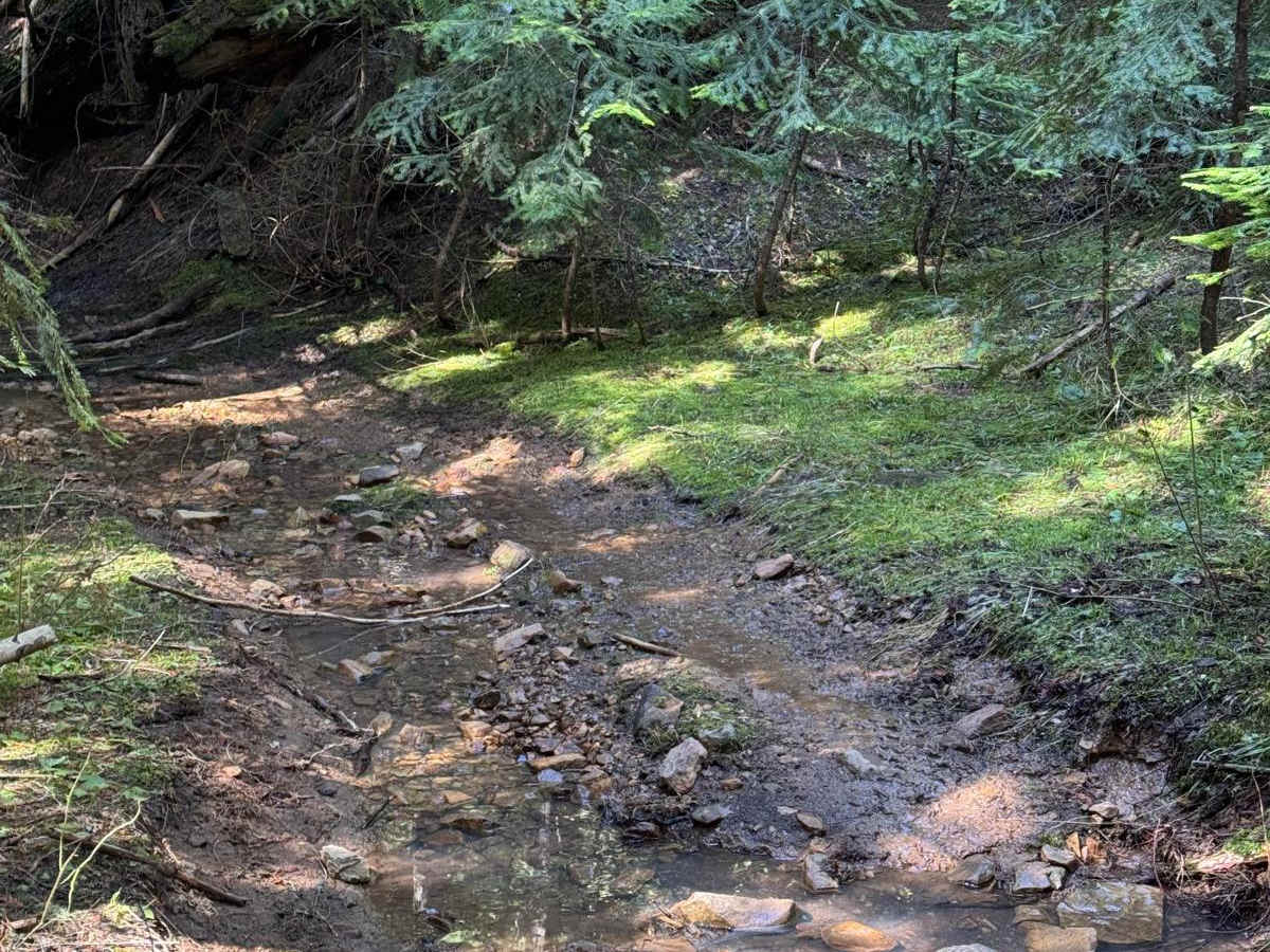 Korth Trail photo 5