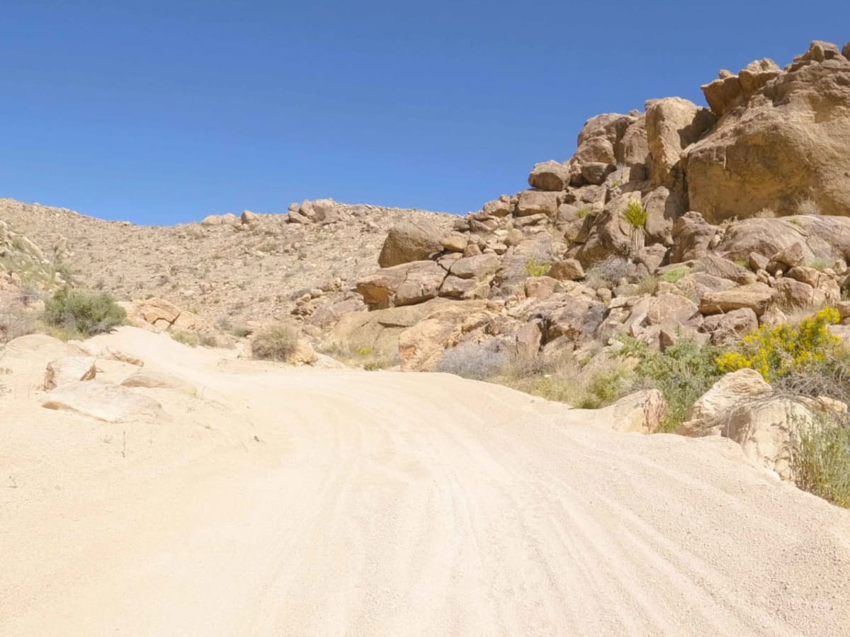 New Dixie Mine Road - BLM C2330 photo 5