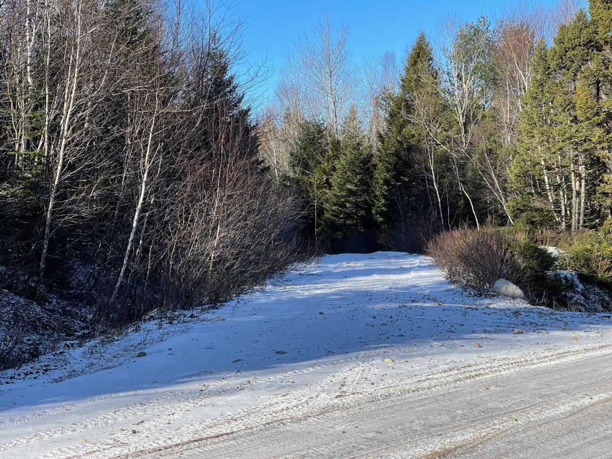 Quack Lake Road photo 2