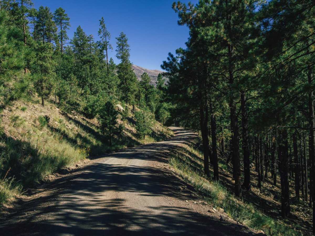 Schultz Pass photo 6