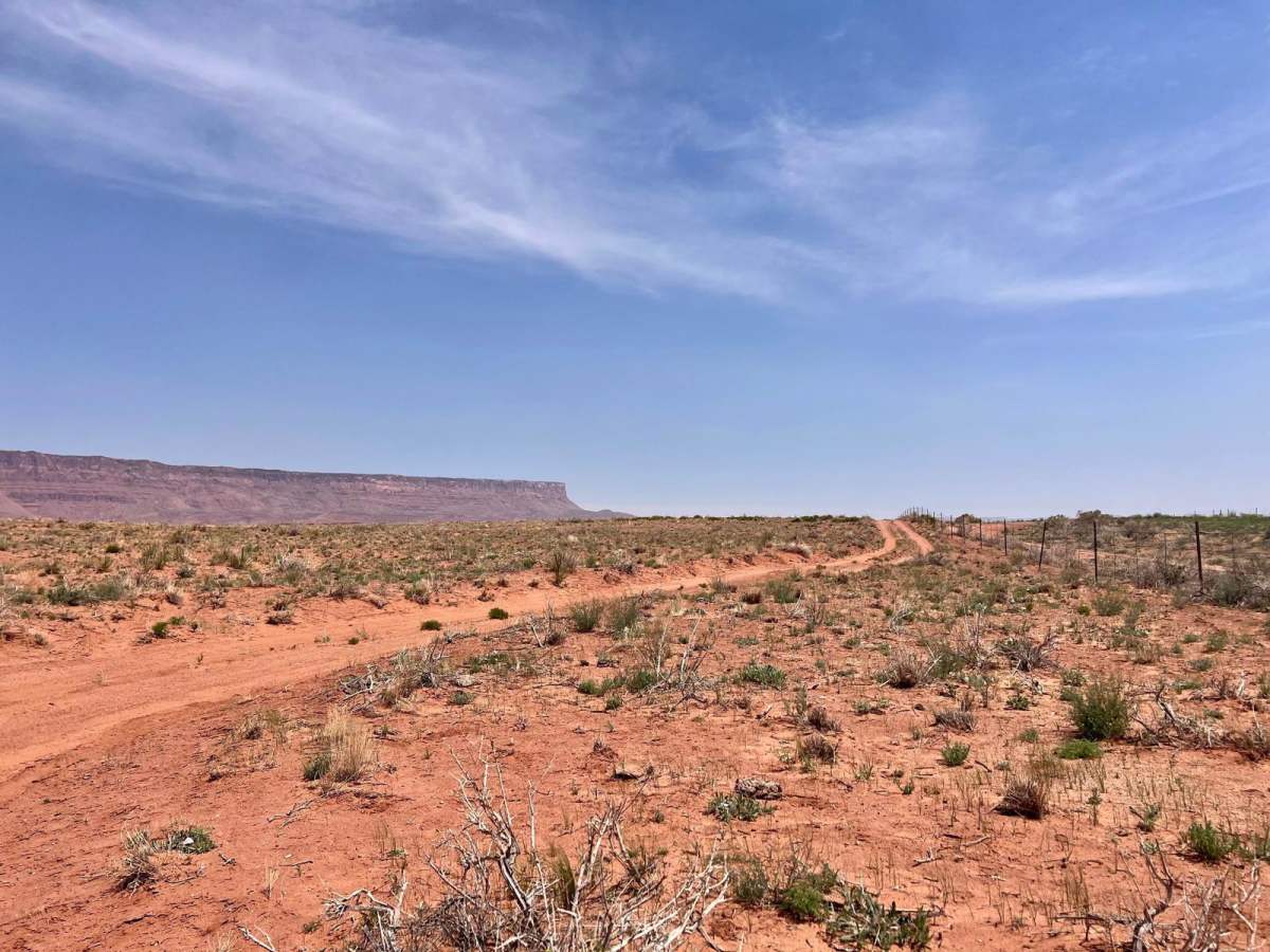 BLM 1395 " The Cutover" trail photo