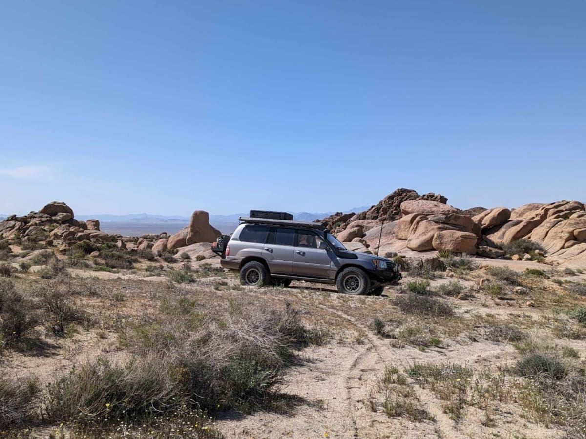 BLM C3429 photo 6