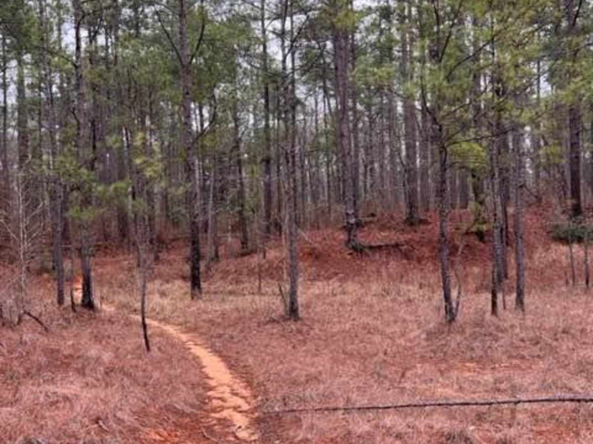 Claiborne "B" Loop photo 2