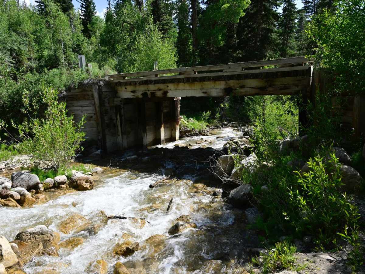 North Fork Manti Canyon - FR50046 photo 2