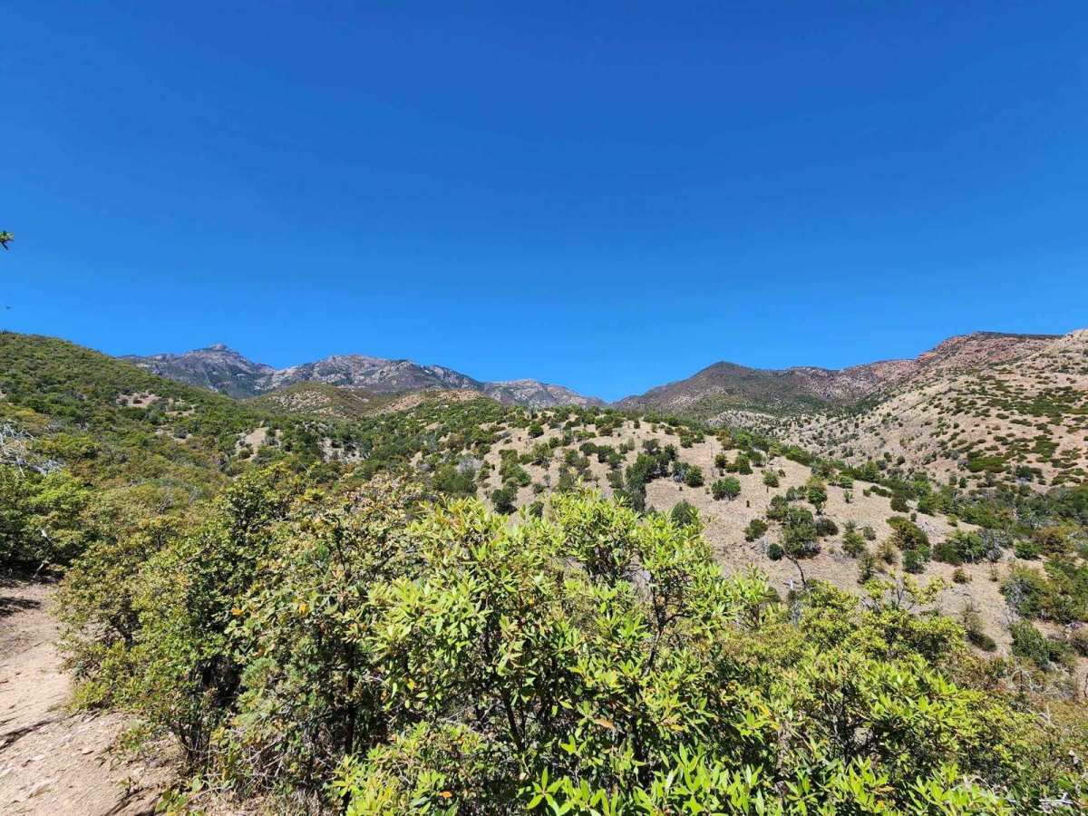 Gardner Canyon FR 92 photo 3
