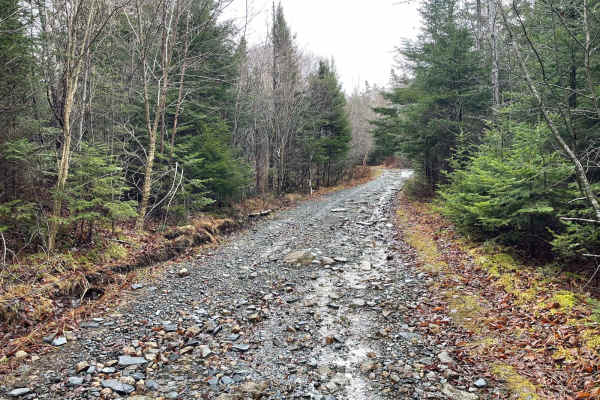 Pockwock Falls Trail