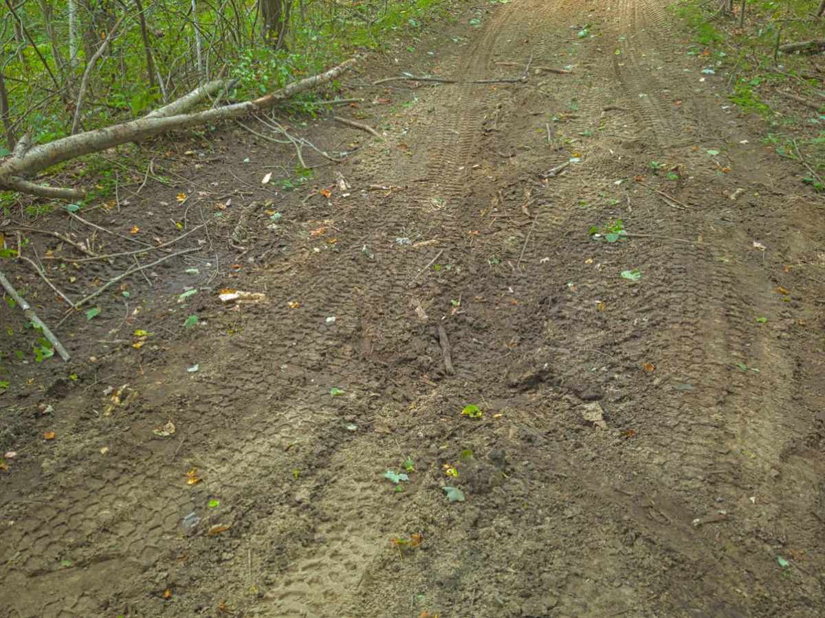 Whisker's Trail photo 3