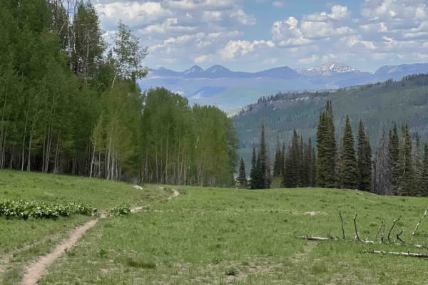 Little South Fork Trail