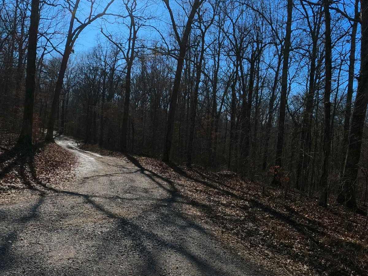 Gray Cemetery Road - FS 313 trail photo