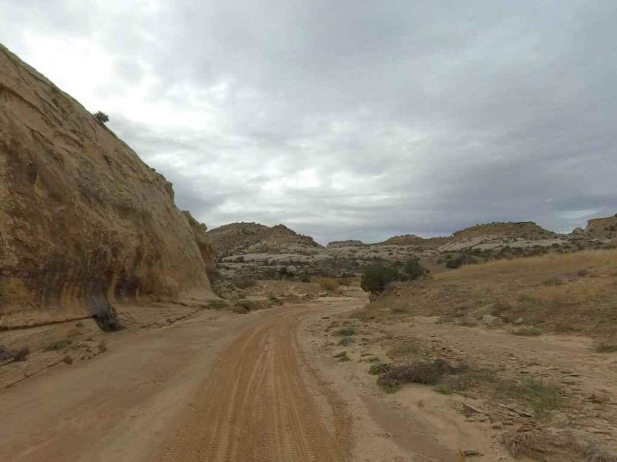 North Fork Coal-BLM638 trail photo