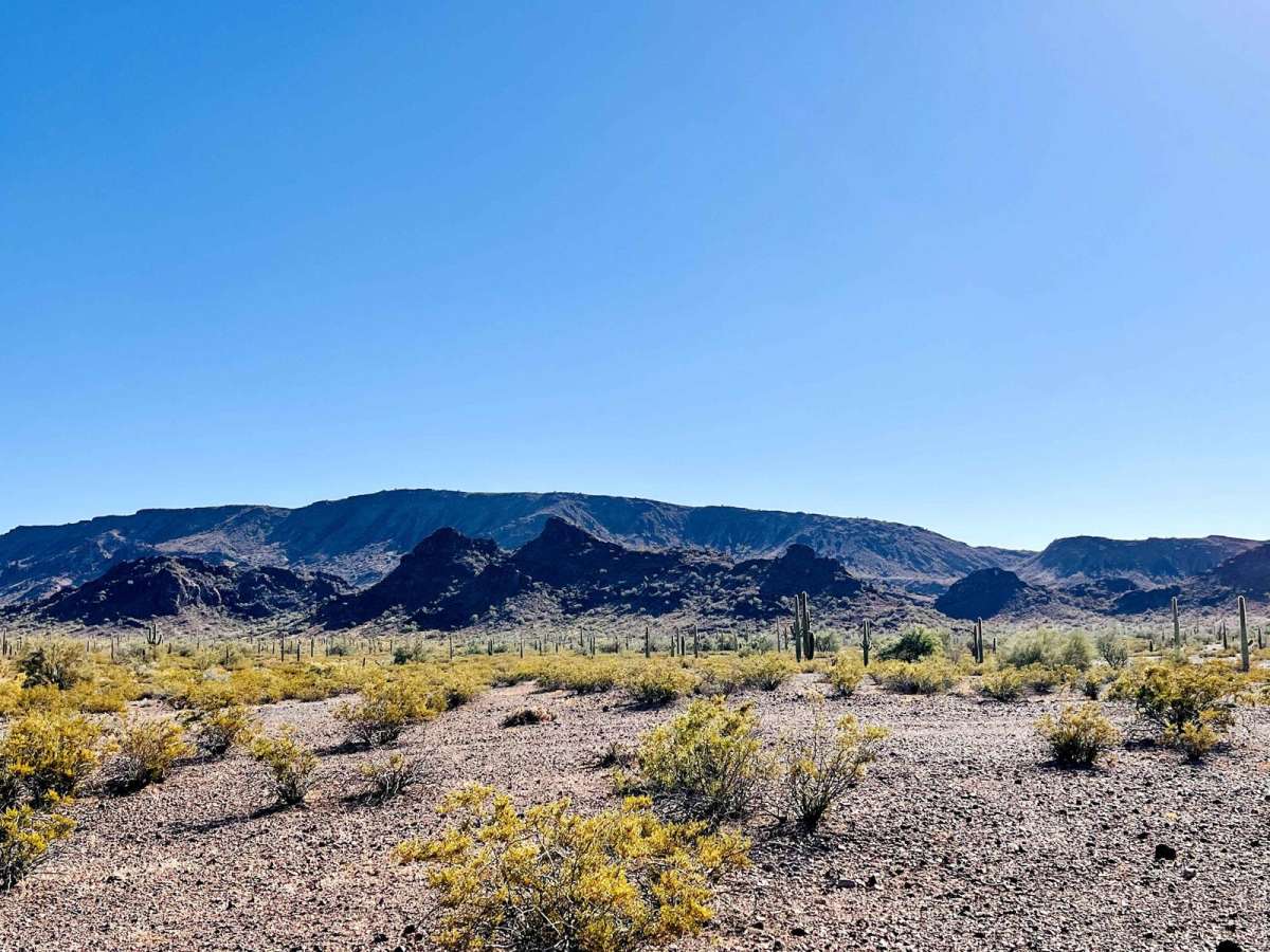 AZ Peace Trail Lava Rock Camp Trail trail photo