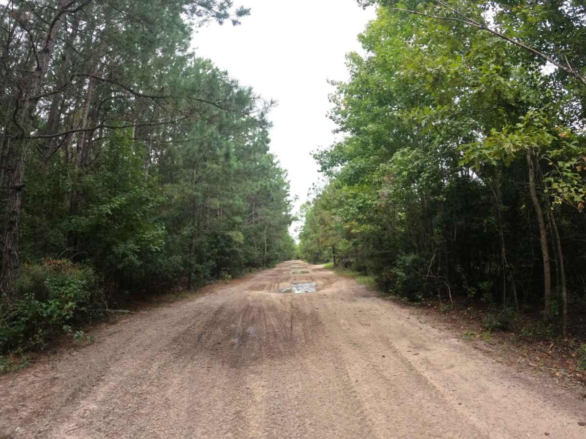 Beaten Path photo 2