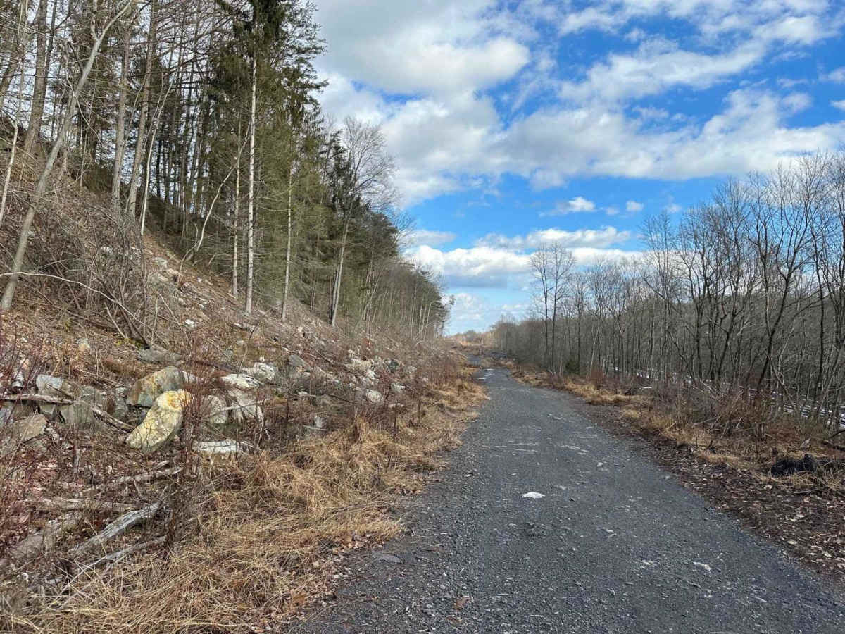 Ashland 186 photo 3