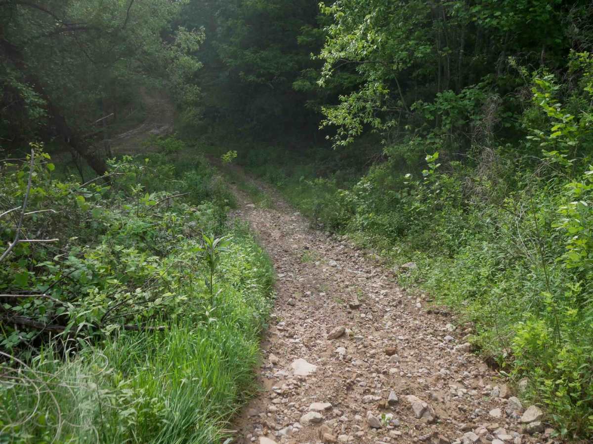 RV23 photo 2