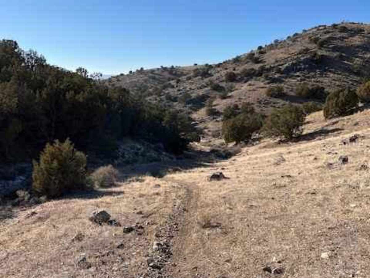 Rib Cage Canyon Go-Around photo 3