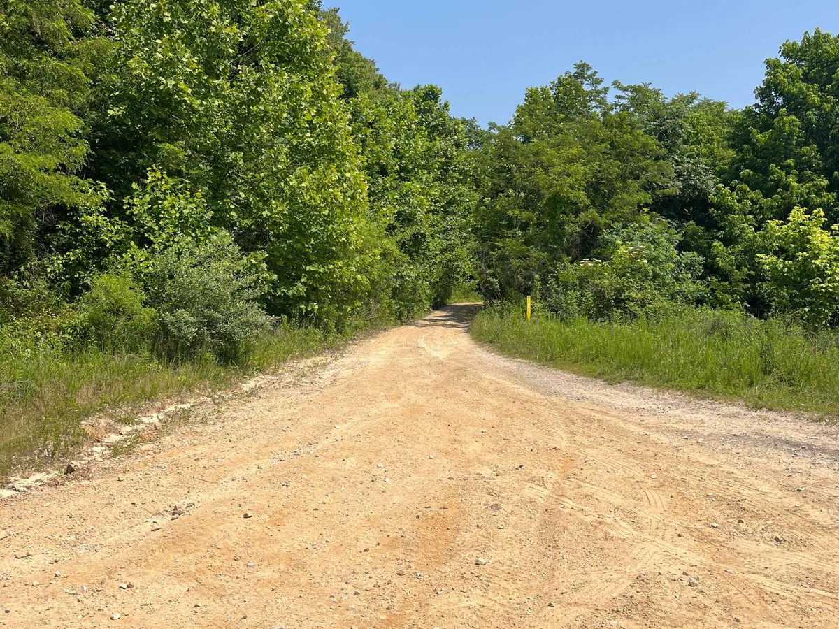 Trail 7 photo 4