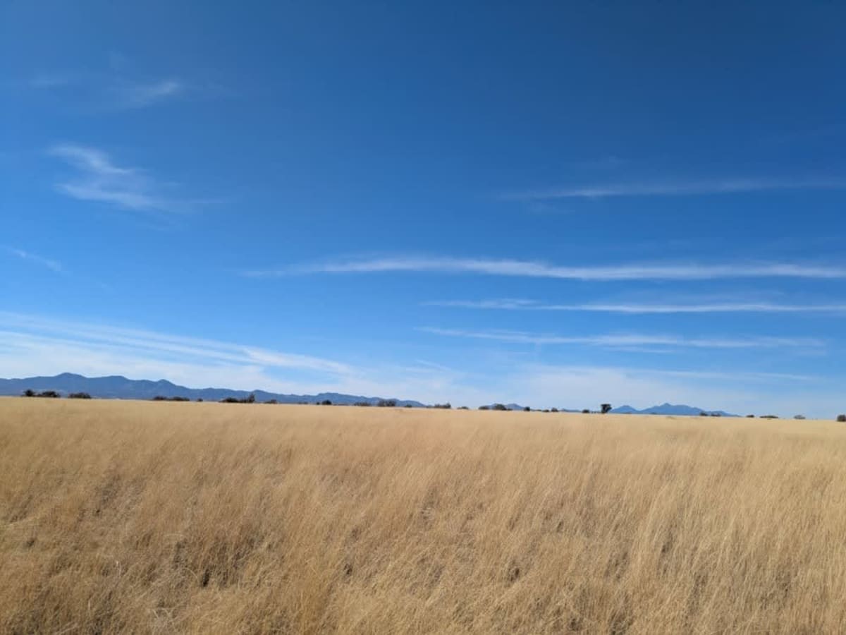 Parker Montezuma photo 3