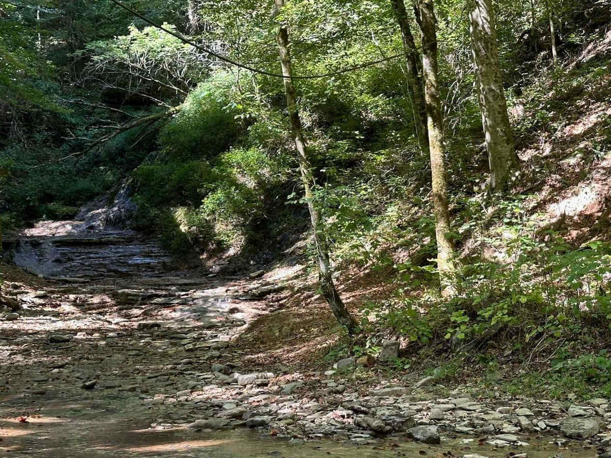 Waterfall Trail trail photo