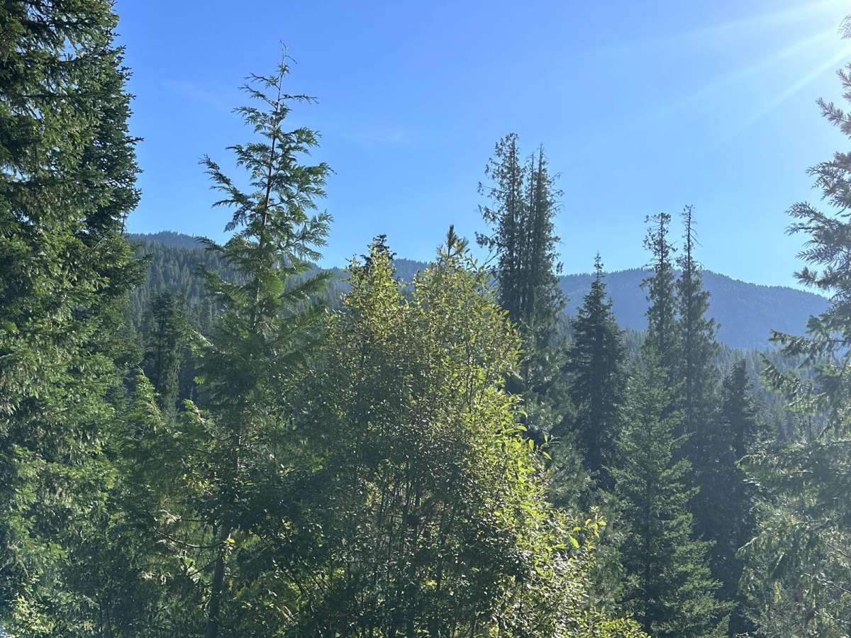 Lower Chiwawa River Road photo 4
