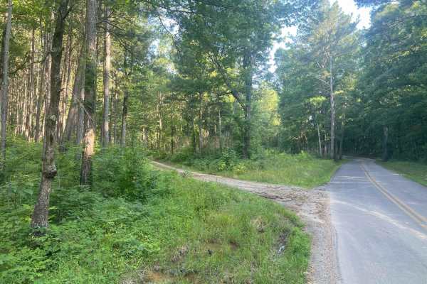 Mount Joy - Forest Road 216