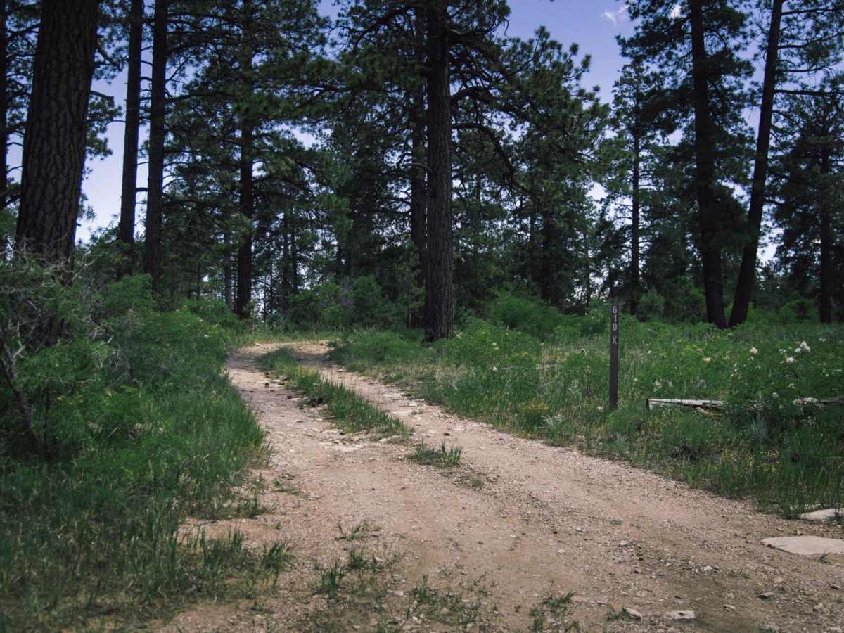 Dog Point trail photo