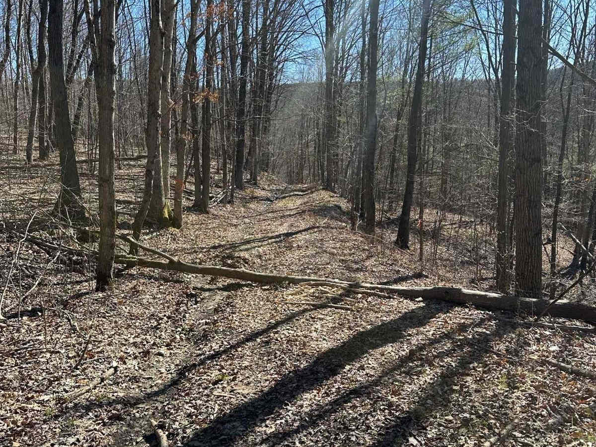 Sauerbier Road photo 6