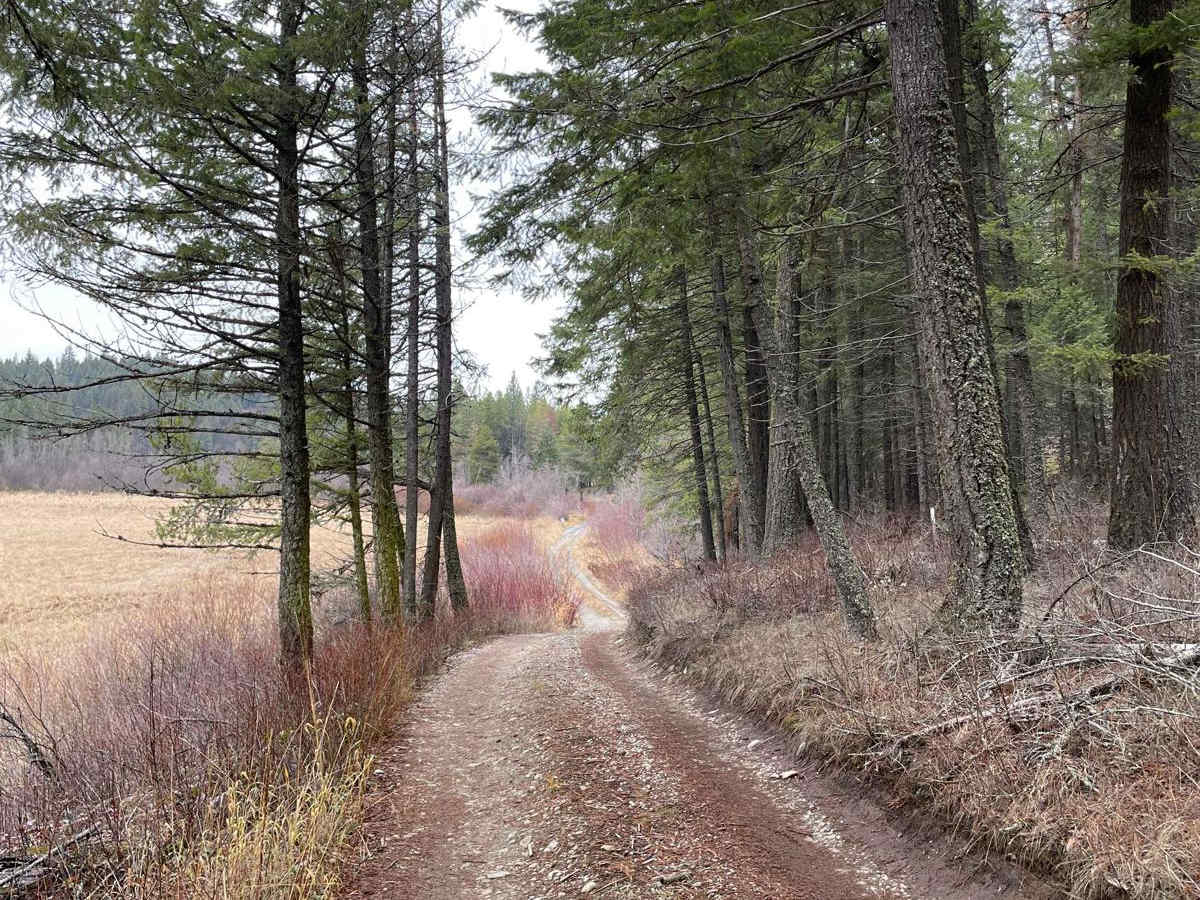 Bayley Lake Road photo 5