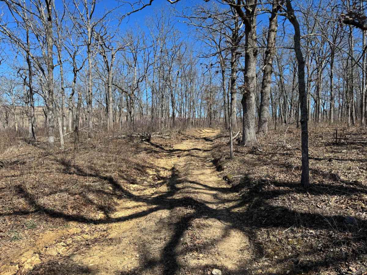 Brushy Ridge Spur B - FSR 606B photo 2