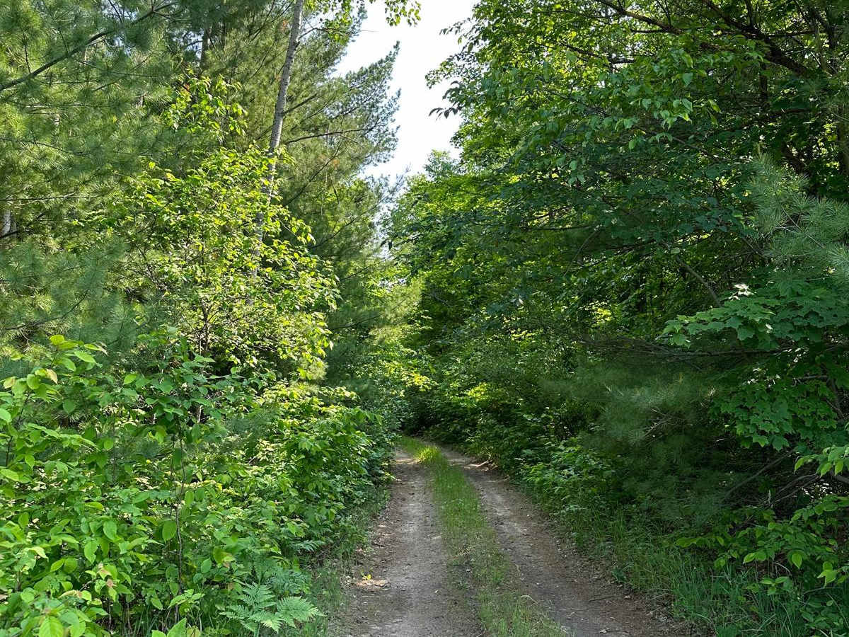 Oakley Road Bypass A trail photo