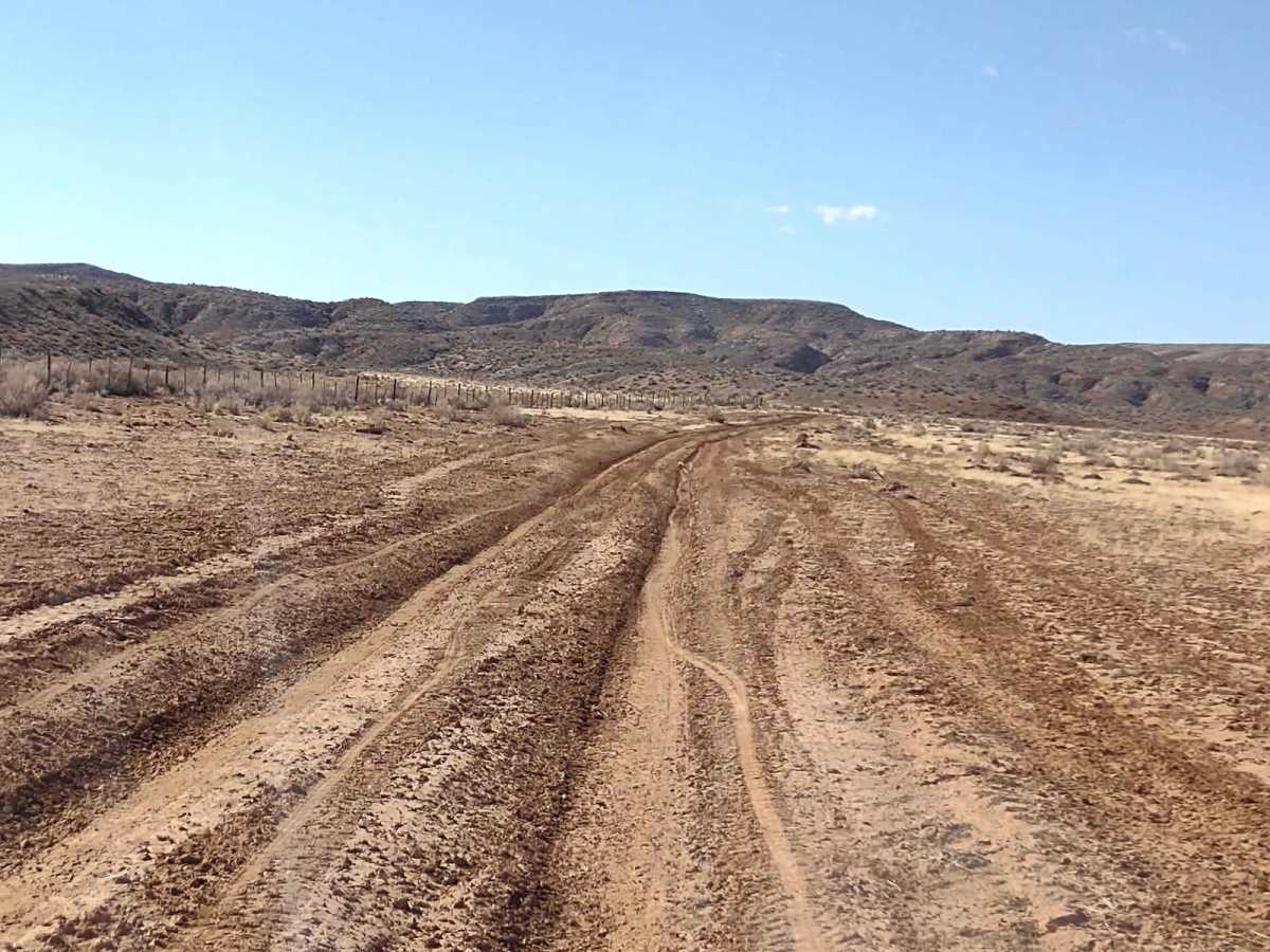 Northern Arizona High Desert (Part 1) trail photo