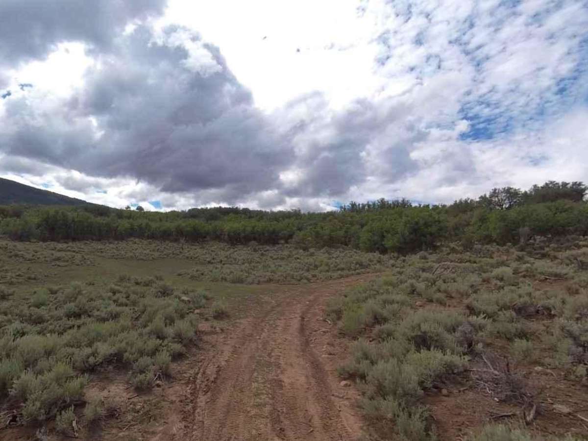Rose Meadows- FS 40058 photo 4